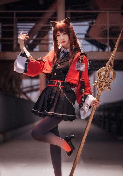 骆驼蜘蛛