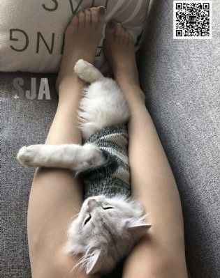 钱王