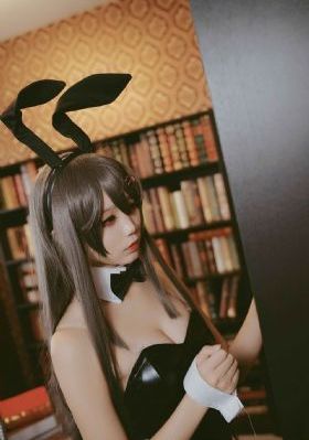公仆