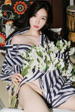 杀手蝴蝶梦