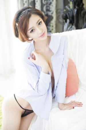 大侠霍元甲