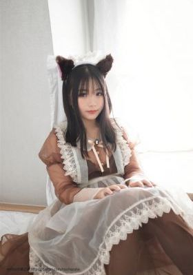 吸血鬼骑士
